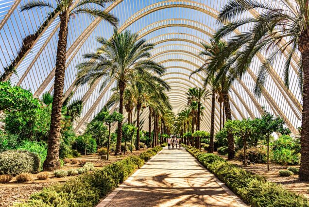 Stage de padel sur mesure à Valencia 🇪🇸 – Dates flexibles